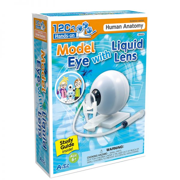 นัยน์ตาจำลองและการมองเห็น (Model Eye with Liquid Lens) - Image 3