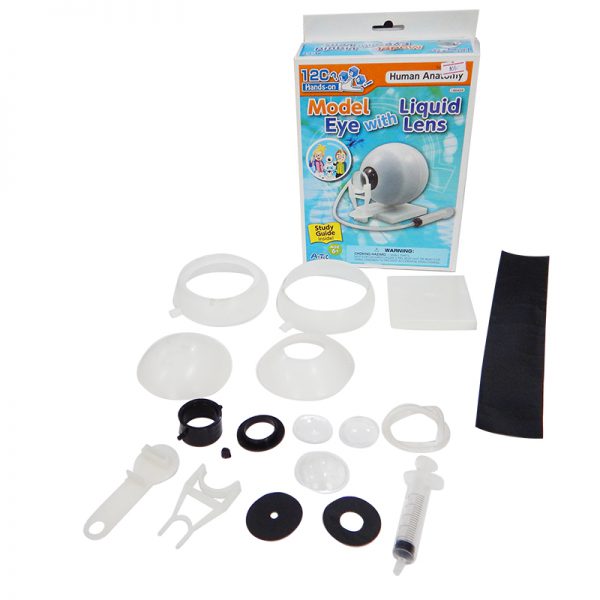 นัยน์ตาจำลองและการมองเห็น (Model Eye with Liquid Lens) - Image 5