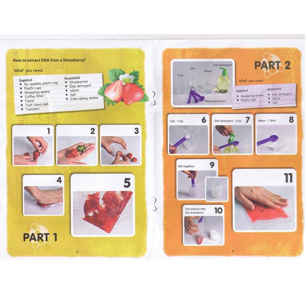 ชุดทดลองสกัดดีเอ็นเอ (DNA Extraction Play Kit) - Image 6