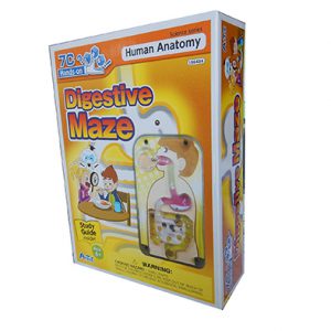 ชุดสนุกกับทางเดินอาหารคน (Digestive Maze)