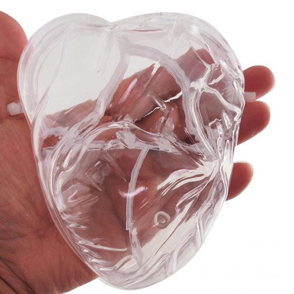 หุ่นจำลองการทำงานของหัวใจ (Pumping Heart) - Image 5