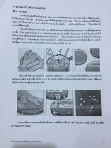 เอกสารสำรวจโลกมหัศจรรย์ภายใต้กล้องจุลทรรศน์_2