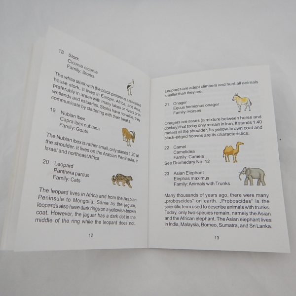 ลูกโลกแสดงรูปสัตว์ ขนาด 15 ซม (Illuminated Earth Globe (Animal) 15 cm) - Image 6