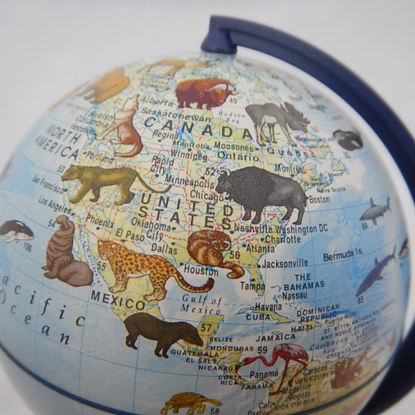 ลูกโลกแสดงรูปสัตว์ ขนาด 15 ซม (Illuminated Earth Globe (Animal) 15 cm) - Image 7
