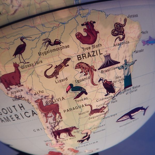 ลูกโลกแสดงรูปสัตว์และสถานที่ท่องเที่ยว ขนาด 28 ซม (Illuminated Earth Globe (Animal) 28 cm) - Image 5