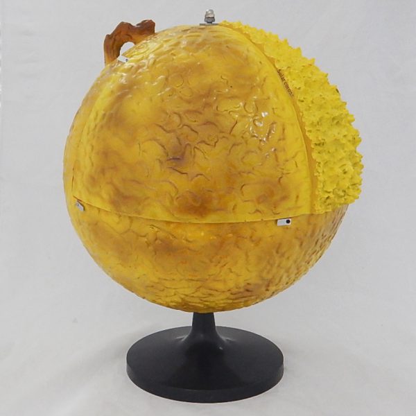 แบบจำลองโครงสร้างดวงอาทิตย์ 32 ซม. (Model of Sun Internal Structure 32 cm) - Image 2