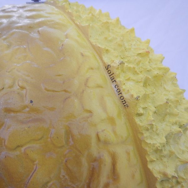 แบบจำลองโครงสร้างดวงอาทิตย์ 32 ซม. (Model of Sun Internal Structure 32 cm) - Image 6