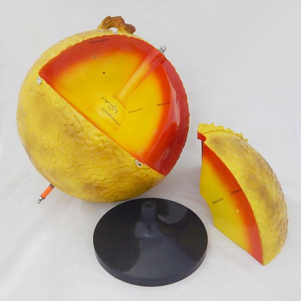 แบบจำลองโครงสร้างดวงอาทิตย์ 32 ซม. (Model of Sun Internal Structure 32 cm) - Image 7