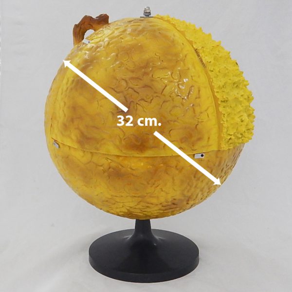 แบบจำลองโครงสร้างดวงอาทิตย์ 32 ซม. (Model of Sun Internal Structure 32 cm) - Image 8