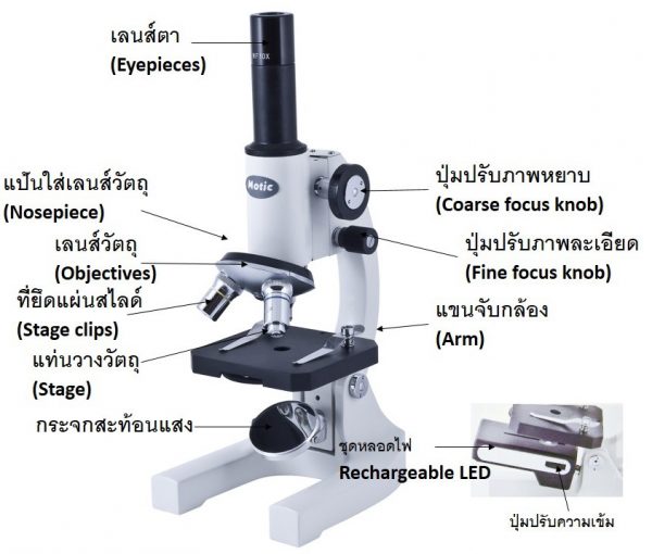 กล้องจุลทรรศน์ตาเดียว Motic รุ่น SFC-3AF (ไร้สาย) - Image 6