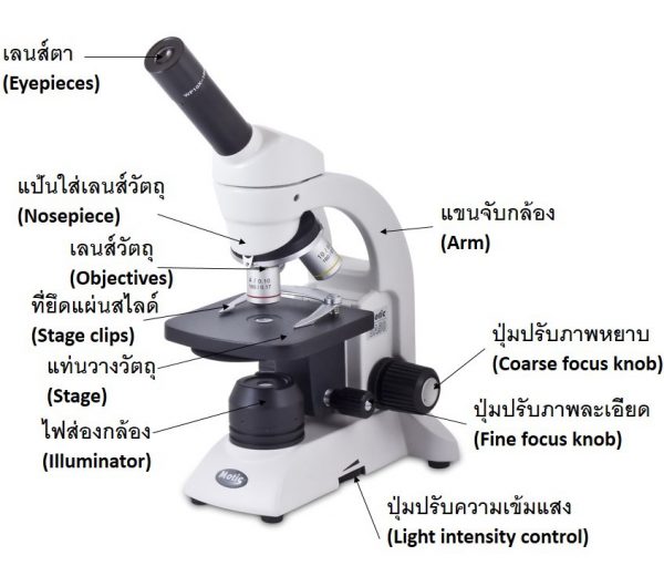 กล้องจุลทรรศน์ Motic รุ่น BA-50 - Image 5