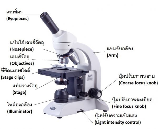 กล้องจุลทรรศน์ Motic รุ่น BA-80 - Image 8