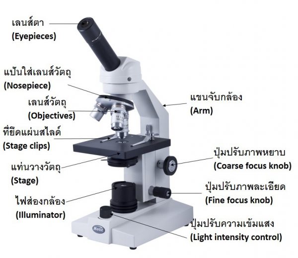 กล้องจุลทรรศน์ตาเดียว Motic รุ่น SFC-100FLED (ไร้สาย) - Image 5