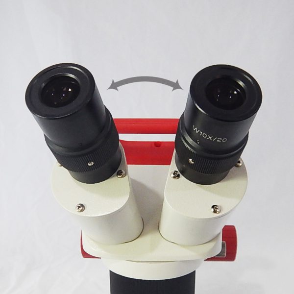 กล้องจุลทรรศน์สเตอริโอซูมสองตาไร้สาย MOTIC รุ่น Red-39Z-LED (Cordless) - Image 2