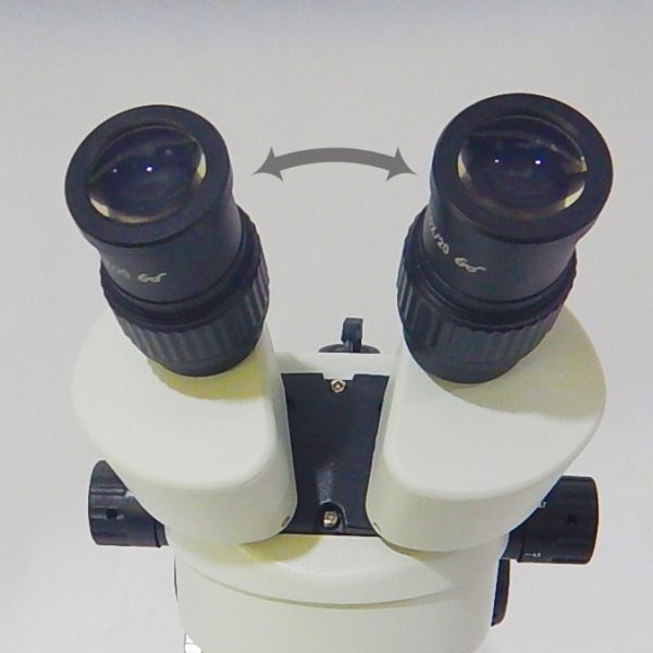 กล้องสเตอริโอซูม IRIS รุ่น SZM45-B8L - Image 6
