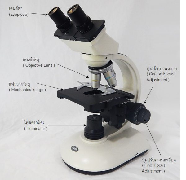 กล้องจุลทรรศน์สองตาแบบไร้สาย Motic รุ่น SFC-282 - Image 7