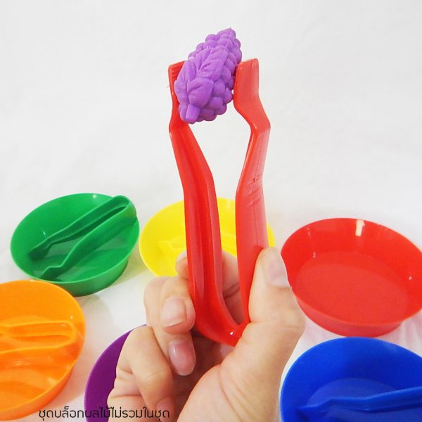 ชุดถ้วยแยกกลุ่มพร้อมปากคีบพลาสติก 6 สี (Sorting Bowls and Tweezers Set) - Image 6