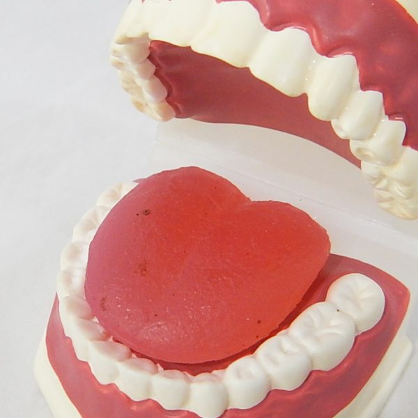 หุ่นจำลองฟันแบบมีลิ้น ขนาดเท่าของจริง (Life - Size Dental Care with Tongue Model) - Image 5