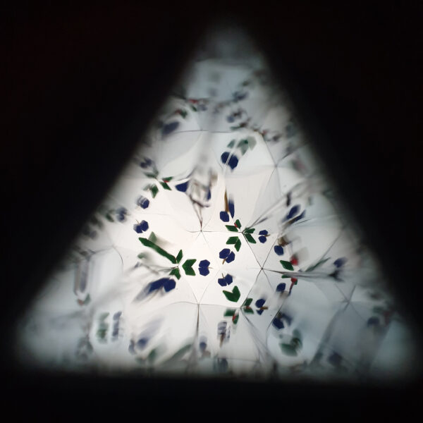 ชุดประกอบกล้องวิทยาศาสตร์อย่างง่าย (Multioptics) - Image 10