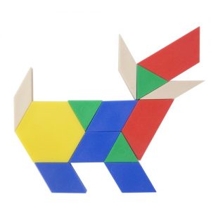 ชุดบล็อกรูปแบบพลาสติก (250 อัน) พร้อมแผ่นกิจกรรม (Pattern Block with Picture Card)